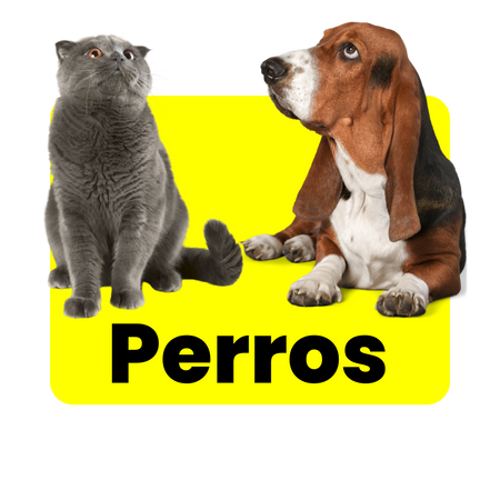 Perros